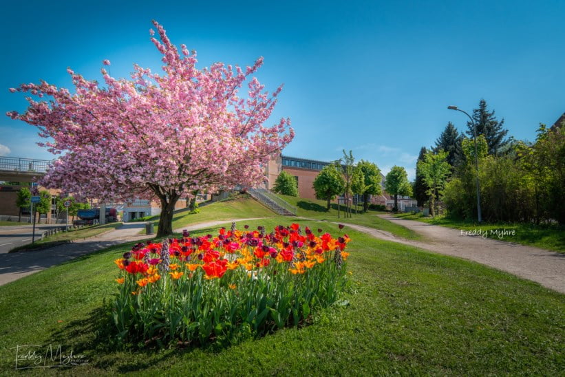 Velkommen til Berg Sparebank